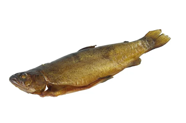 Smoked trout — Stock Photo, Image