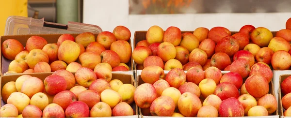 Scatole di mele — Foto Stock