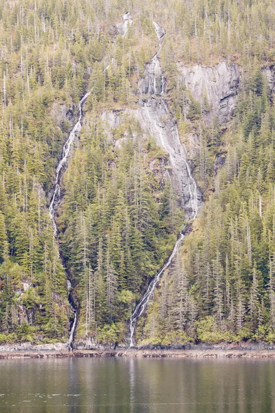 Cachoeiras gêmeas em árvores de abeto — Fotografia de Stock