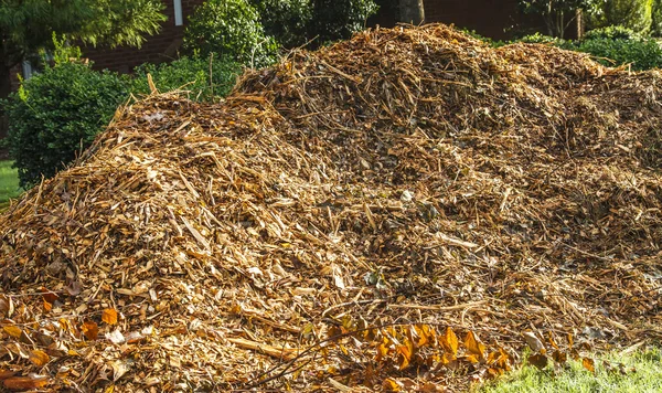 Mulch Pile — Stock Photo, Image