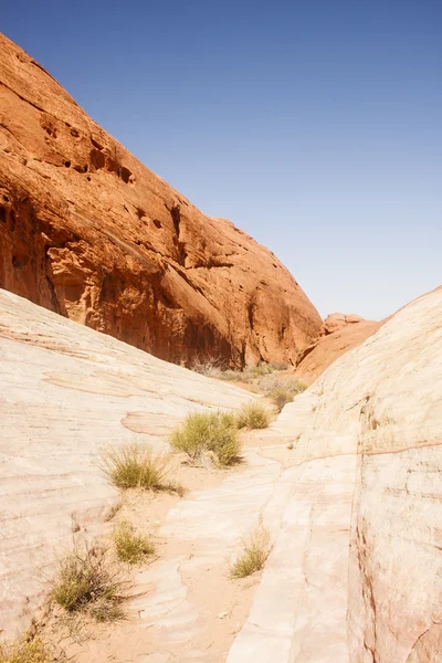 Ravin i red rock canyon — Stockfoto