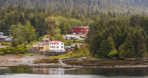 Byggnader i evergreens på alaskan vattenvägar — Stockfoto