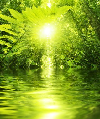 Tropical forest and river clipart