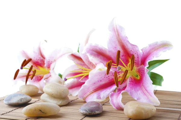 Rózsaszín liliom és a terápia kövek — Stock Fotó
