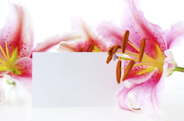 Lilies and gift card — Stock Photo, Image