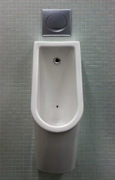 Urinoir met wit geschilderd een vlieg op het toilet — Stockfoto