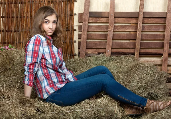 Красивая девушка на сене — стоковое фото