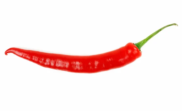 Hot chili peppers na białym tle — Zdjęcie stockowe
