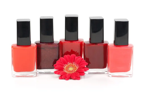 Colorful nail polishes stand near beautiful red flower — Stock Photo, Image