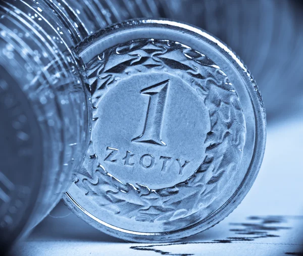 Vedere extrem de atentă a monedei poloneze — Fotografie, imagine de stoc