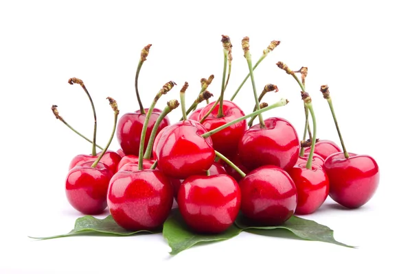 Dolci frutti di ciliegia isolati su sfondo bianco — Foto Stock