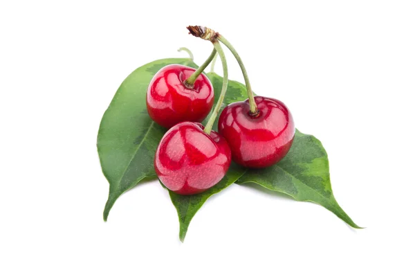 Sweet cherry fruits isolated on white background — Stock Photo, Image