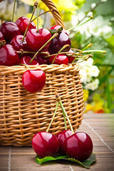 Смачні солодкі вишневі фрукти в плетеному кошику — стокове фото