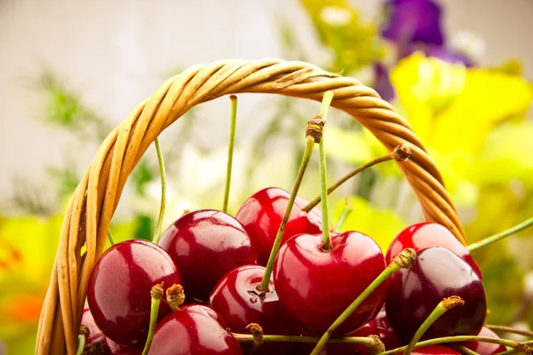 Delicious sweet cherry fruits in wicker basket — Stock Photo, Image