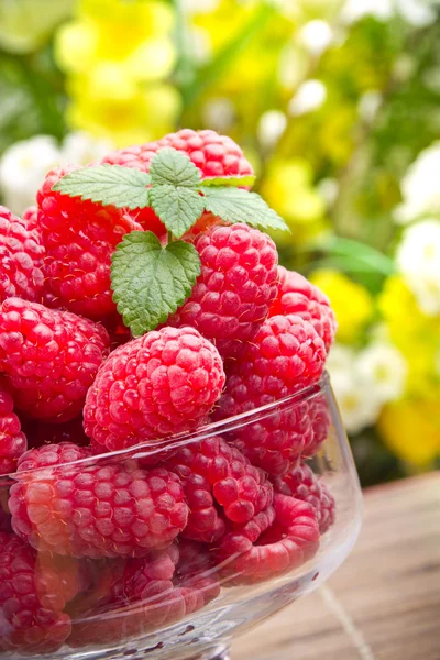 Dulces frutas frescas de frambuesa en copa de vidrio —  Fotos de Stock