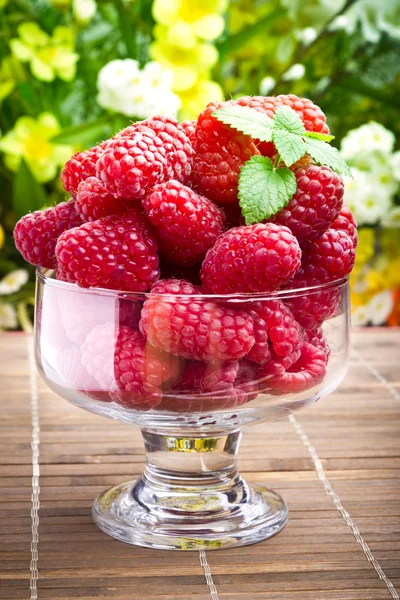 Słodkie owoce malin w szklany kielich — Zdjęcie stockowe