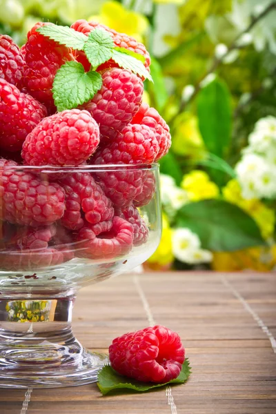 Framboesa doce frutas frescas em cálice de vidro — Fotografia de Stock