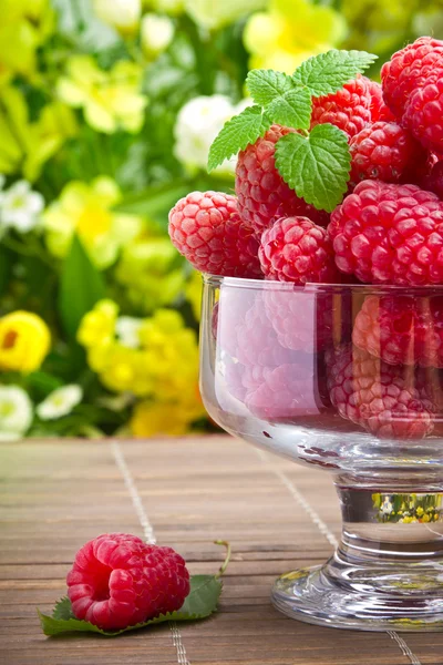 Sladké čerstvé maliny ovoce v skleněnou nádobu — Stock fotografie