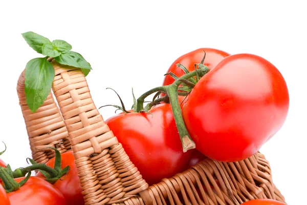 Weidenkorb voller leckerer Tomaten — Stockfoto