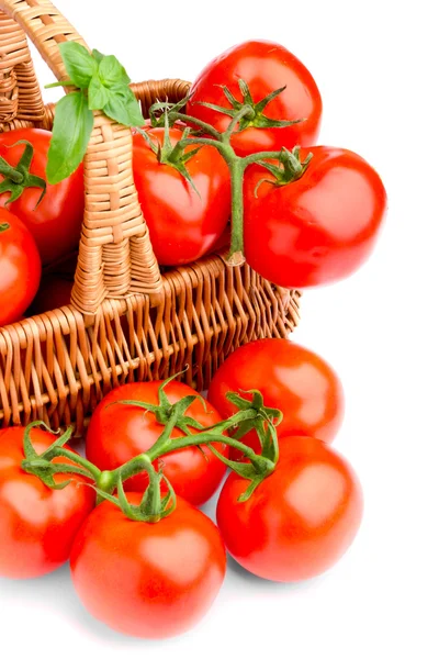 Cesta de vime cheia de deliciosos tomates — Fotografia de Stock