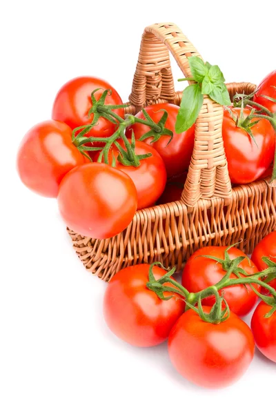 Плетеная корзина с вкусными помидорами — стоковое фото