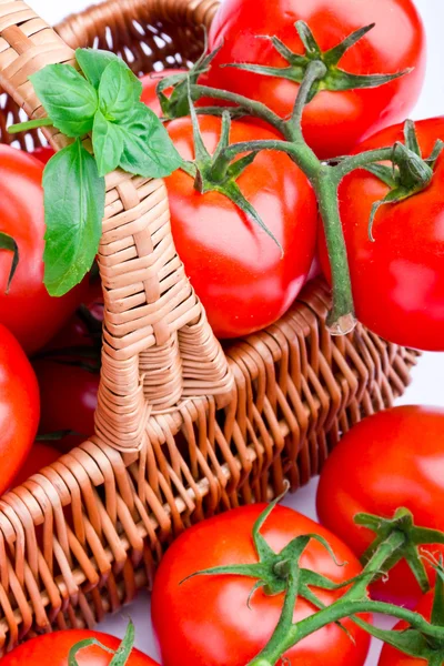 Cesta de mimbre llena de deliciosos tomates —  Fotos de Stock