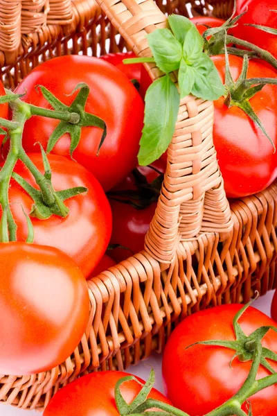 Cesta de vime cheia de deliciosos tomates — Fotografia de Stock