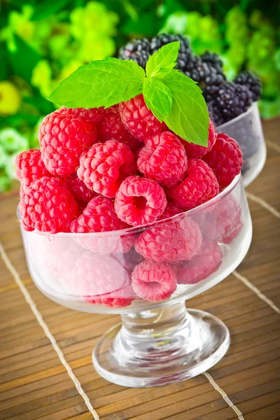Fruits frais sucrés dans un gobelet en verre avec feuille de menthe — Photo