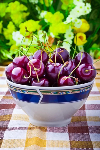 Солодкі вишневі фрукти в барвистій мисці — стокове фото