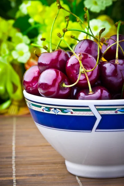 Sweet cherry fruits in colorful bowl — Stock Photo, Image