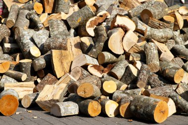 Firewood logs clipart