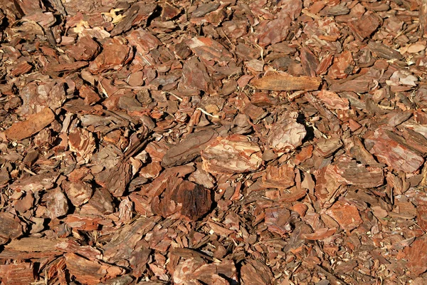 Wood bark chips — Stock Photo, Image