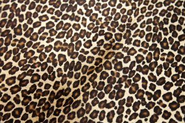 Leopard hyde clipart