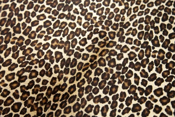 Leopard hyde — Stock Photo, Image