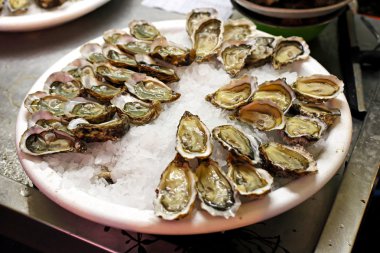 Oysters clipart