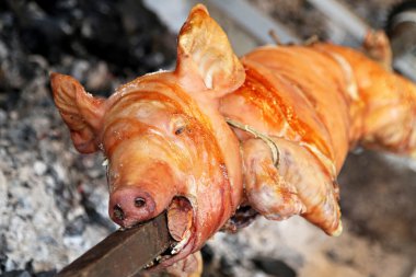 Pig on spit clipart