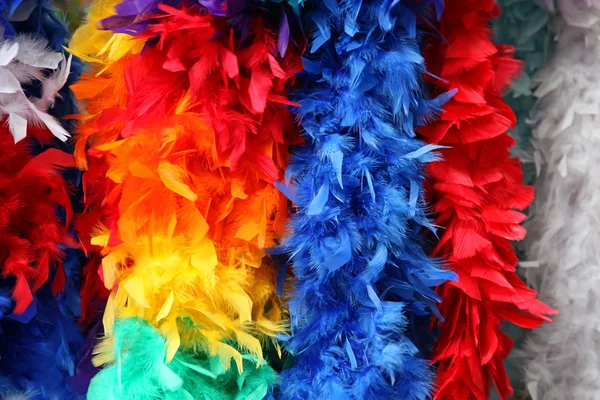 Rainbow feather — Stockfoto