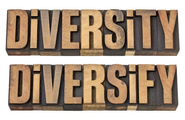 Diversity and diversify words in wood type — Stock Photo, Image