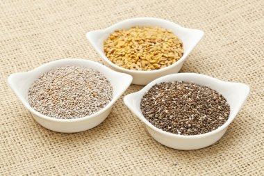 Chia and flax seed clipart