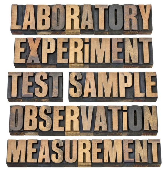 Experiment, observation, test — Stock Photo, Image