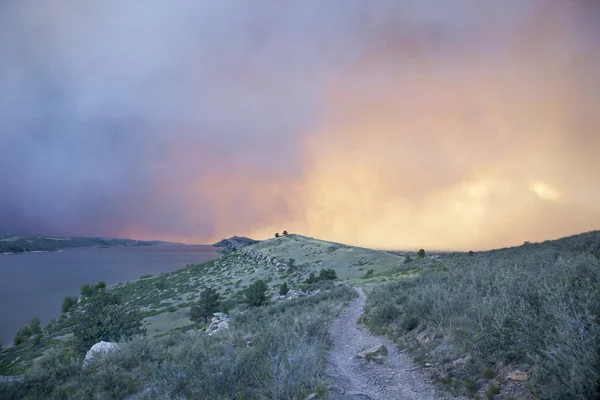 Himlen och solen obsured av wildfire rök — Stockfoto