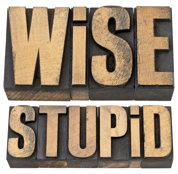 Wise and stupid in letterpress wood type — Stock Photo, Image