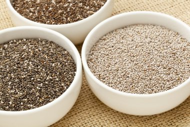 Chia seed variety clipart