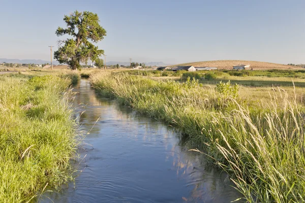 Irrigation ditch in Colorado — Stock Photo, Image