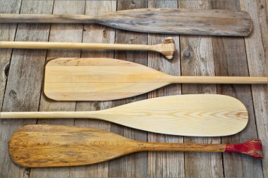 Wooden canoe paddles clipart