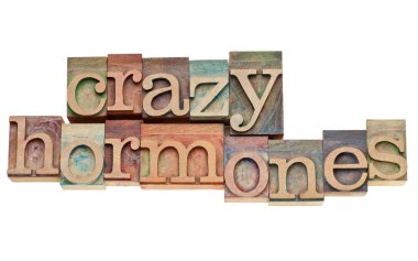 Crazy hormones text in wood type clipart