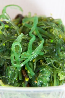 WAKAME deniz yosunu salata