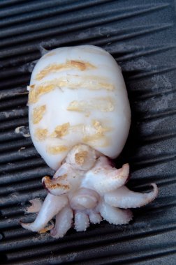 Calamari Tube On BBQ clipart