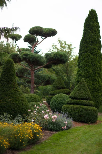 Trädgård landskap. Topiary — Stockfoto