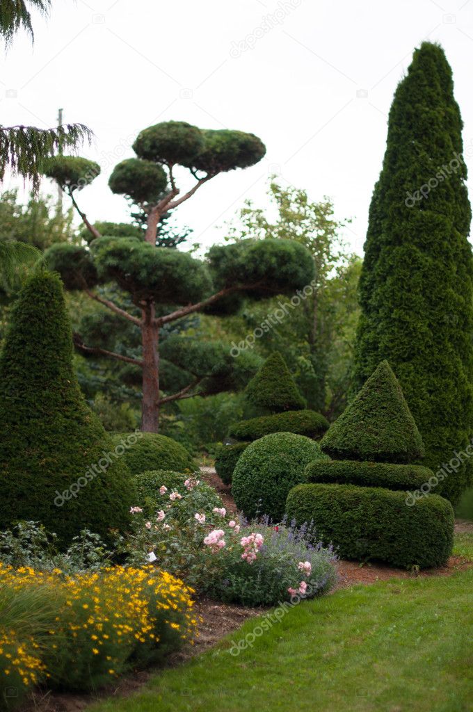 Garden Landscape. Topiary